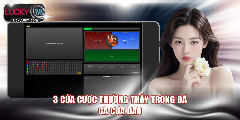 3 cửa cược thường thấy trong đá gà cựa dao