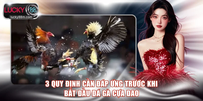 3 quy định cần đáp ứng trước khi bắt đầu đá gà cựa dao
