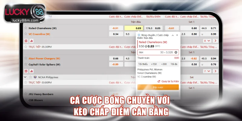 Cá cược bóng chuyền với kèo chấp điểm cân bằng