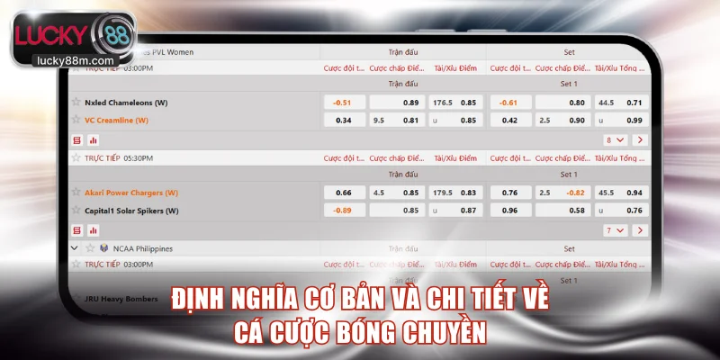 Định nghĩa cơ bản và chi tiết về cá cược bóng chuyền