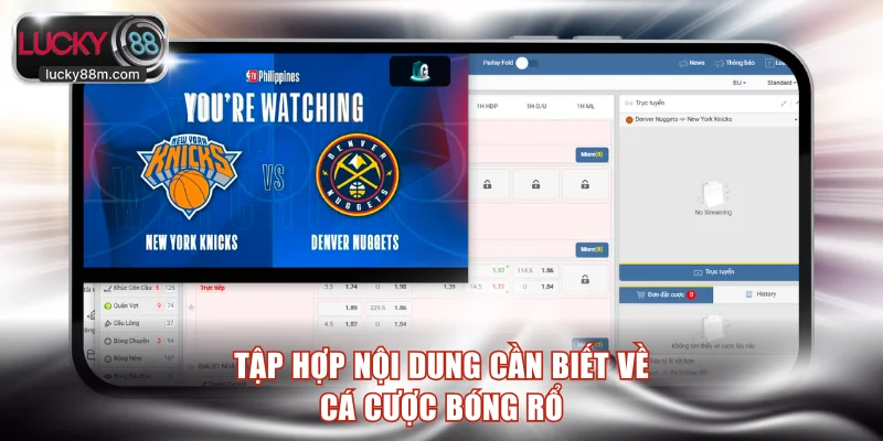 Giới thiệu về cá cược bóng rổ